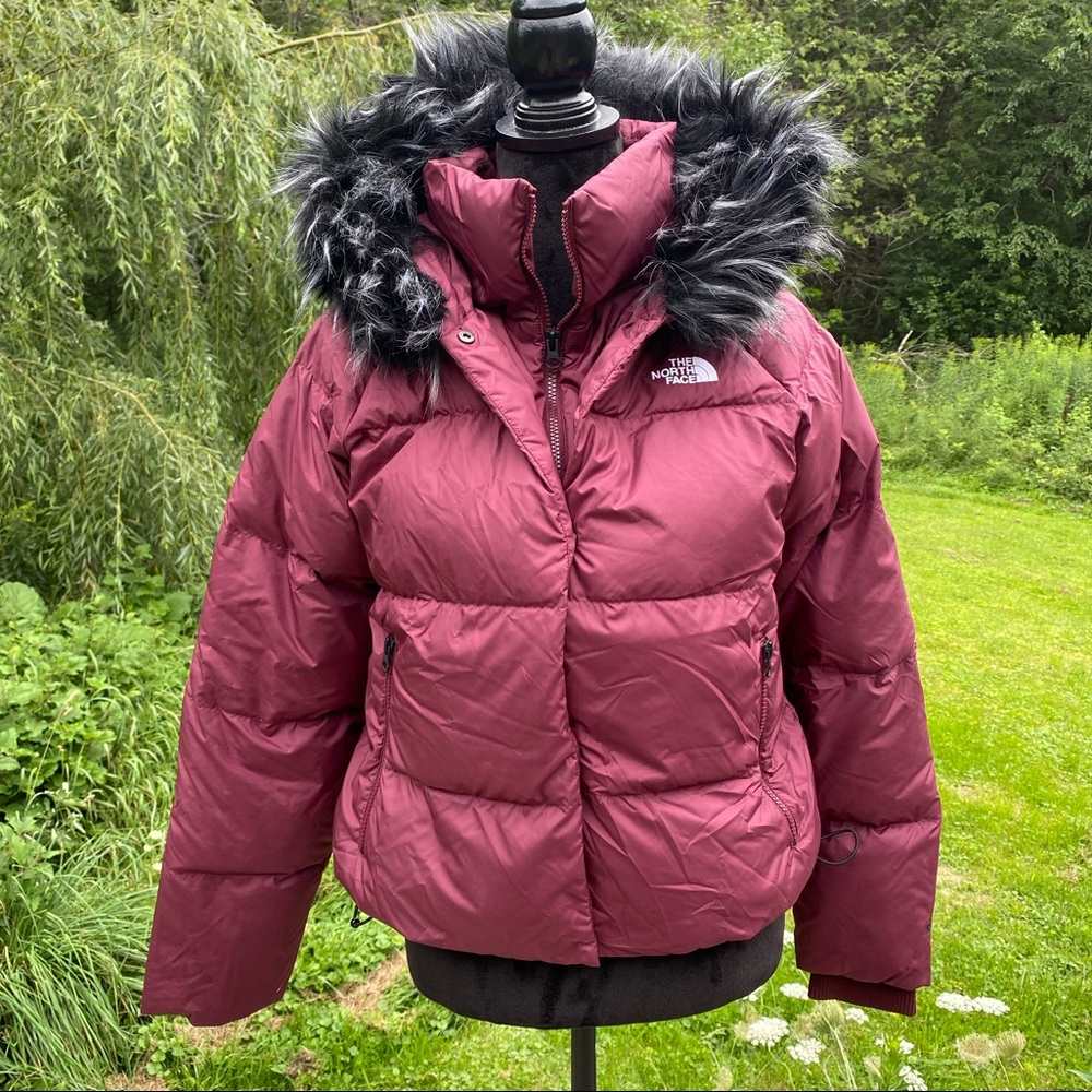 Burgundy puffy north face jacket